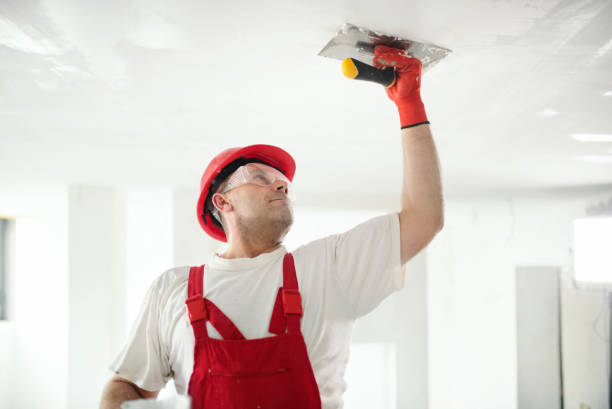 Defuniak Springs, FL Mold Removal Company